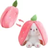 Reversible Bunny