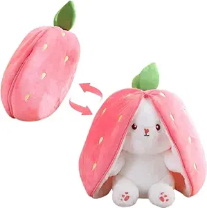 Reversible Bunny